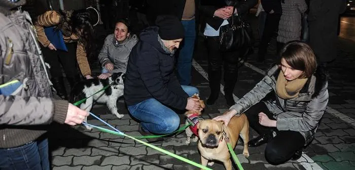 ULTIMĂ ORĂ: Protest pașnic, ASTĂZI, la Brașov