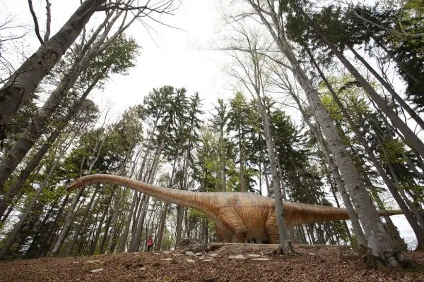 FOTO + VIDEO Cel mai mare dinozaur din istorie, la Râșnov