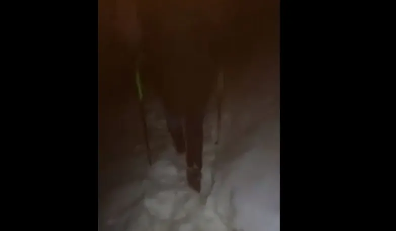 VIDEO Turiști străini, în blugi și adidași pe munte, la peste 2.000 de metri altitudine