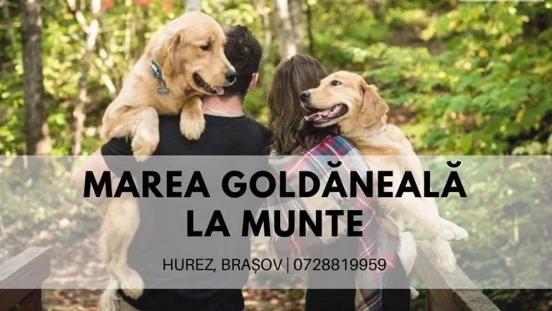INEDIT. Tabără pentru câini, la munte