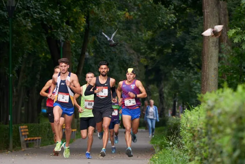 Cupa Colțea - Trofeul „Vintilă Cristescu”