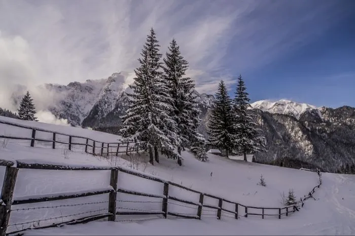 VIDEO Documentarul Wild Carpathia poate fi urmărit, diseară, gratuit, în Piața Sfatului