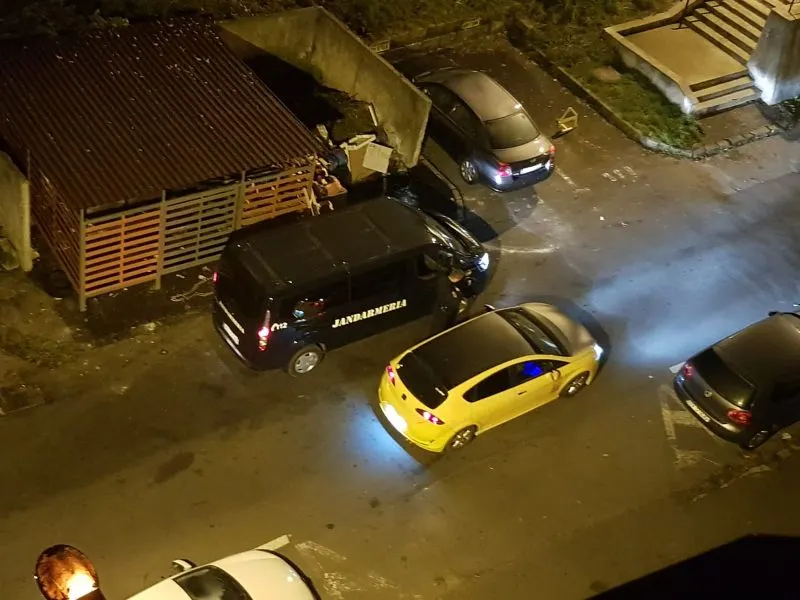 VIDEO+FOTO Autoritățile, în alertă! Urși printre mașini, în Răcădău, azi-noapte!