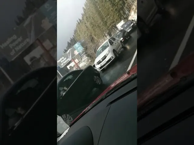 VIDEO Evitați DN1! Trafic INFERNAL