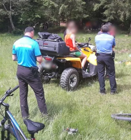 FOTO Brașovenii și turiștii au sunat de 16 ori la 112, pentru a anunța prezența unor animale sălbatice, în ultimele zile