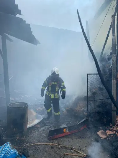FOTO+VIDEO Incendiu la o casă și o șură din Teliu!