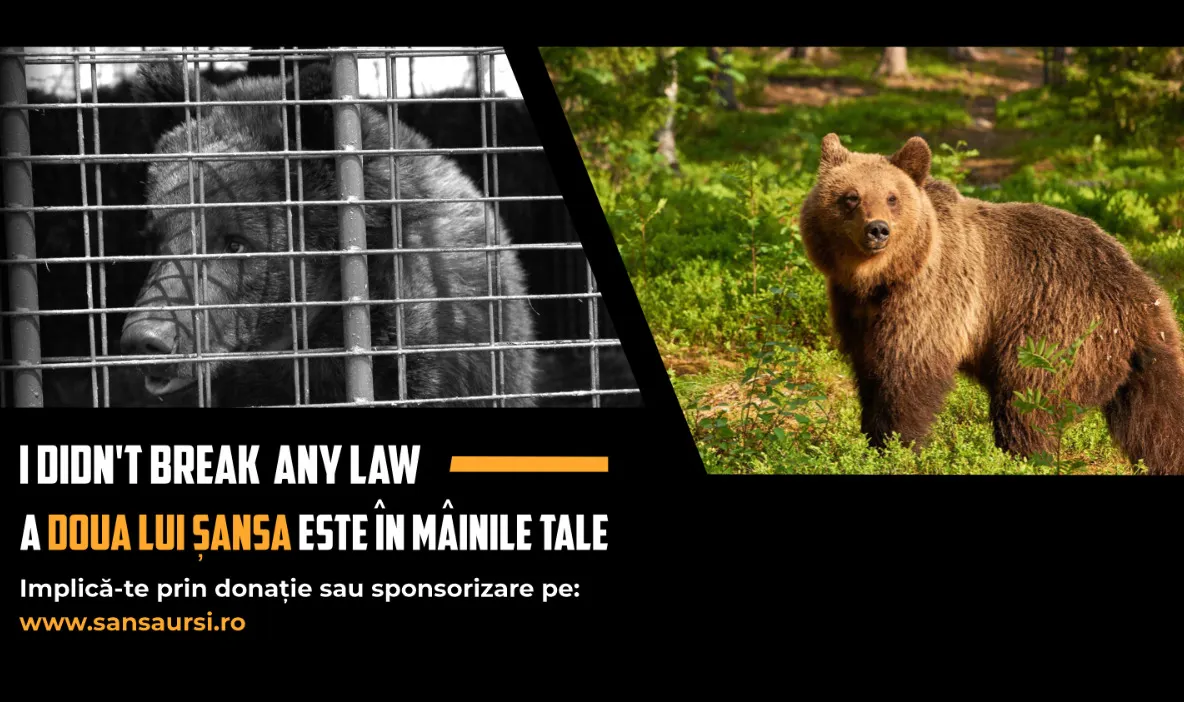 Campanie inițiată de Libearty Zărnești