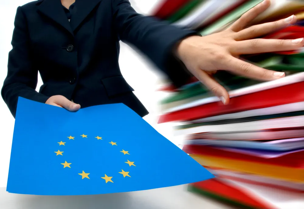 DNA: Fraudă cu fonduri europene, la Rupea!