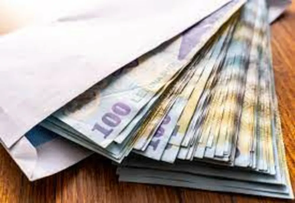 PNL conduce topul partidelor care cheltuie subvențiile pentru presă și propagandă