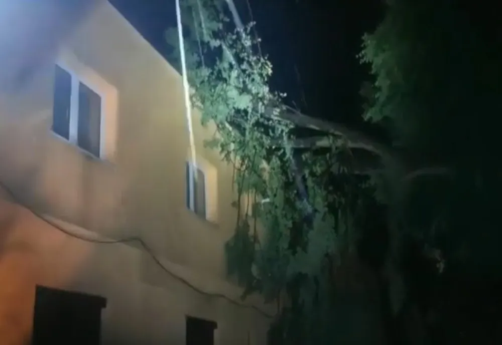 Copaci căzuți peste locuințe, la Hărman (VIDEO)