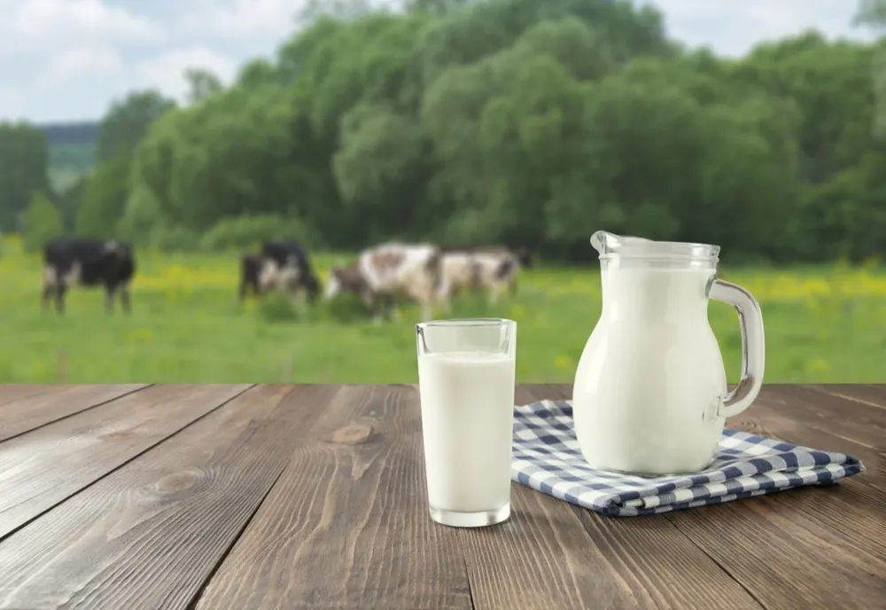 VIDEO La Brașov, produsele eco și cele care provin de la producătorii locali au prioritate în programul „Cornul și laptele“ din acest an școlar