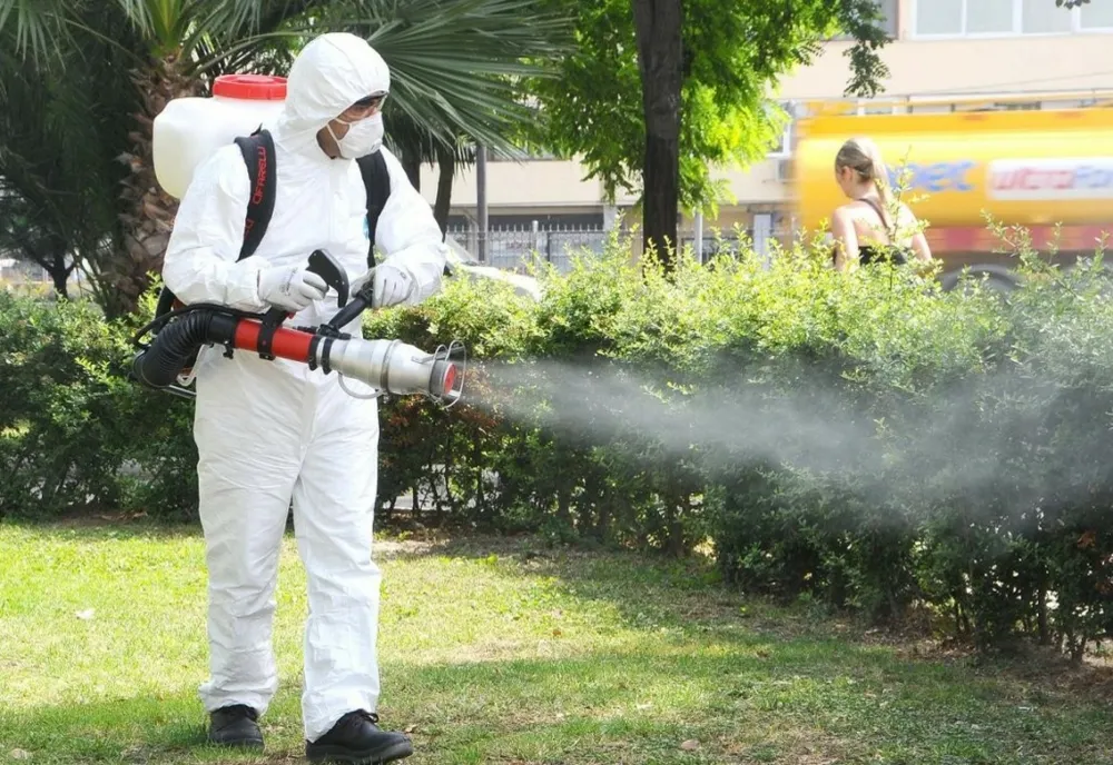 Amplă acțiune de dezinsecție pe domeniul public, la Săcele
