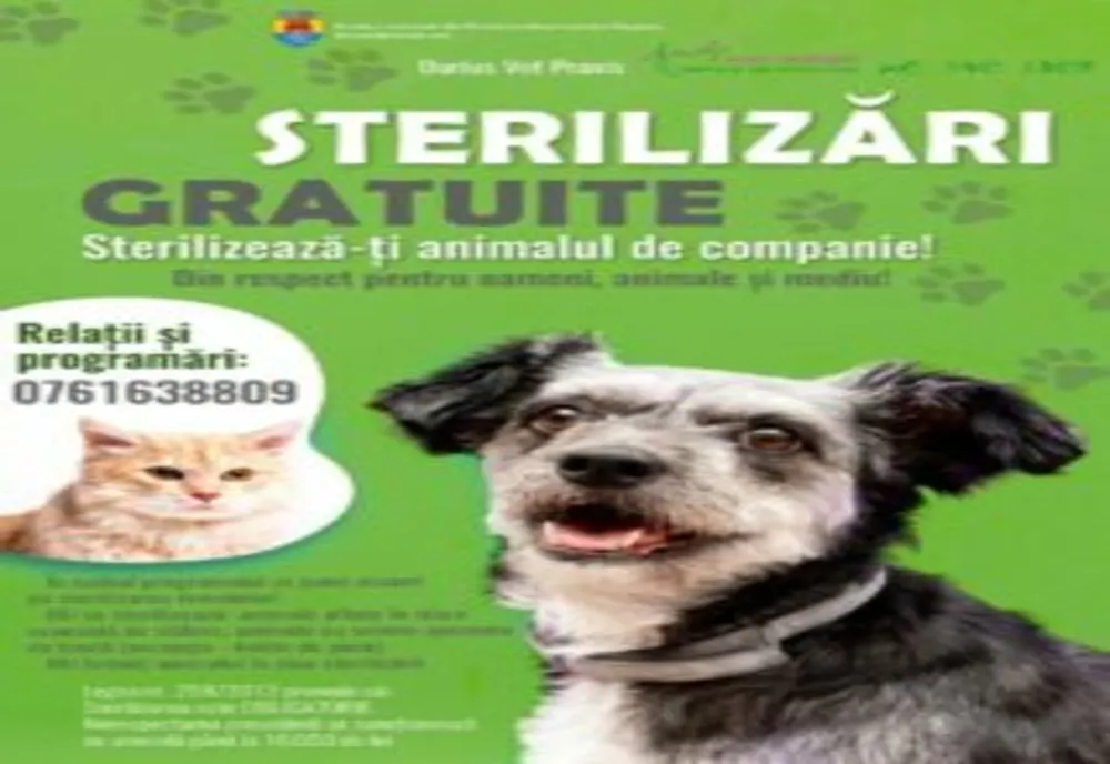 Campanie de sterilizare gratuită a câinilor și pisicilor din Făgăraș