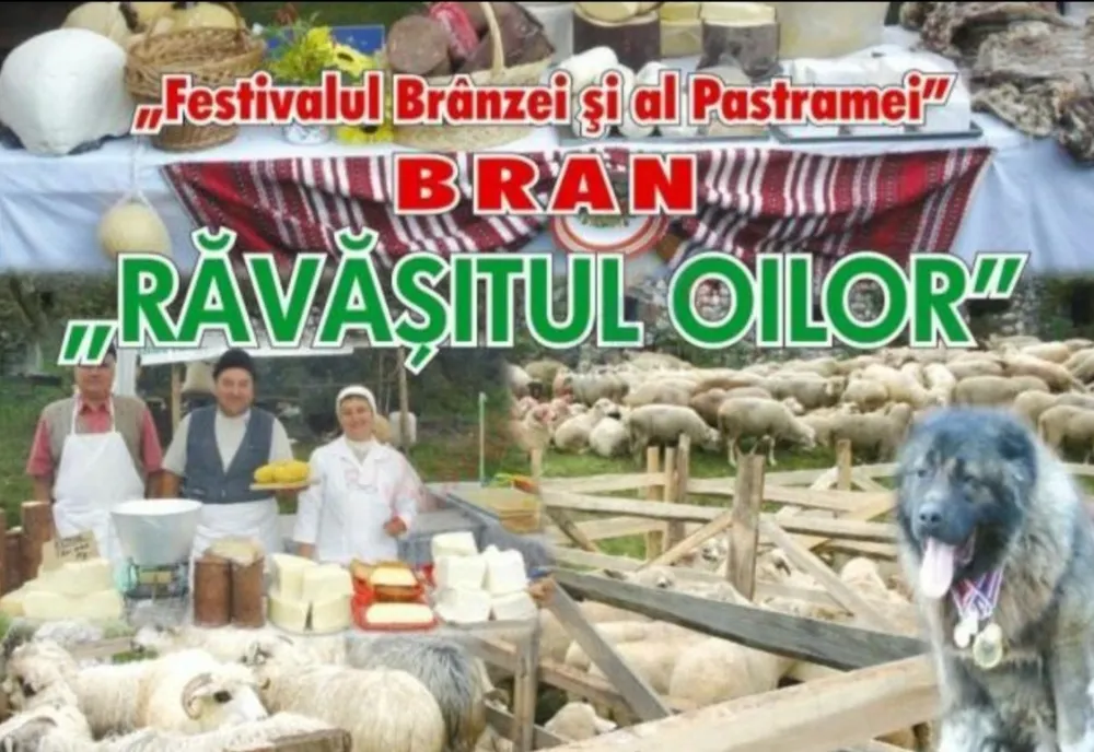 Răvășitul Oilor, în weekend, la Bran