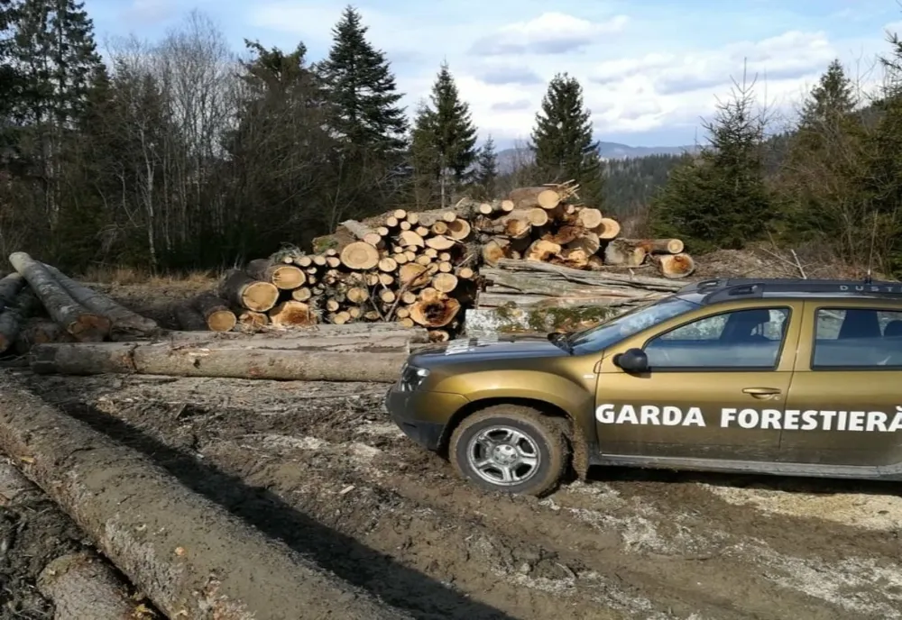 Amenzi de aproape 180.000 de lei date de Garda Forestieră Braşov