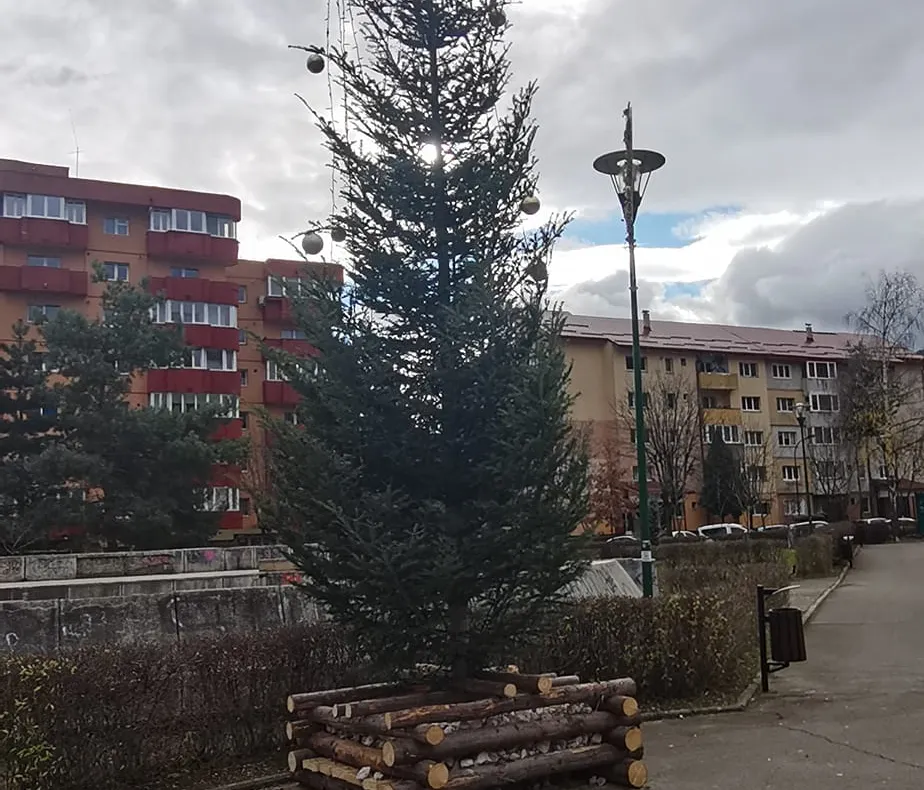 FOTO Vă place cum a "împodobit" Primăria bradul de iarnă din cartierul Răcădău?