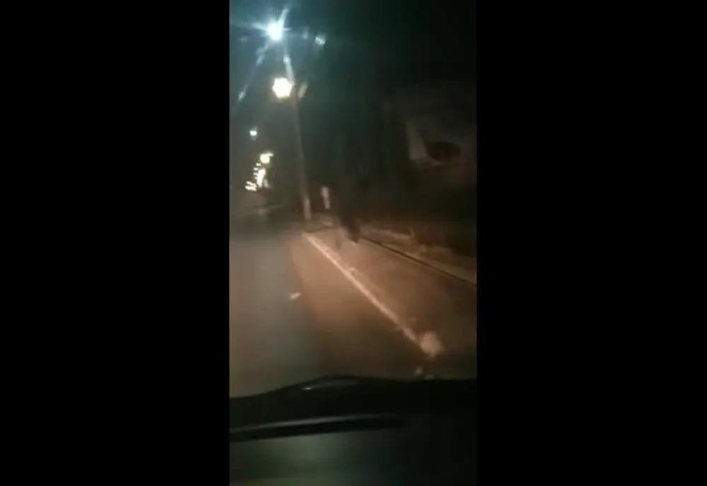 VIDEO Urs filmat în centrul unei comune turistice din județul Brașov!