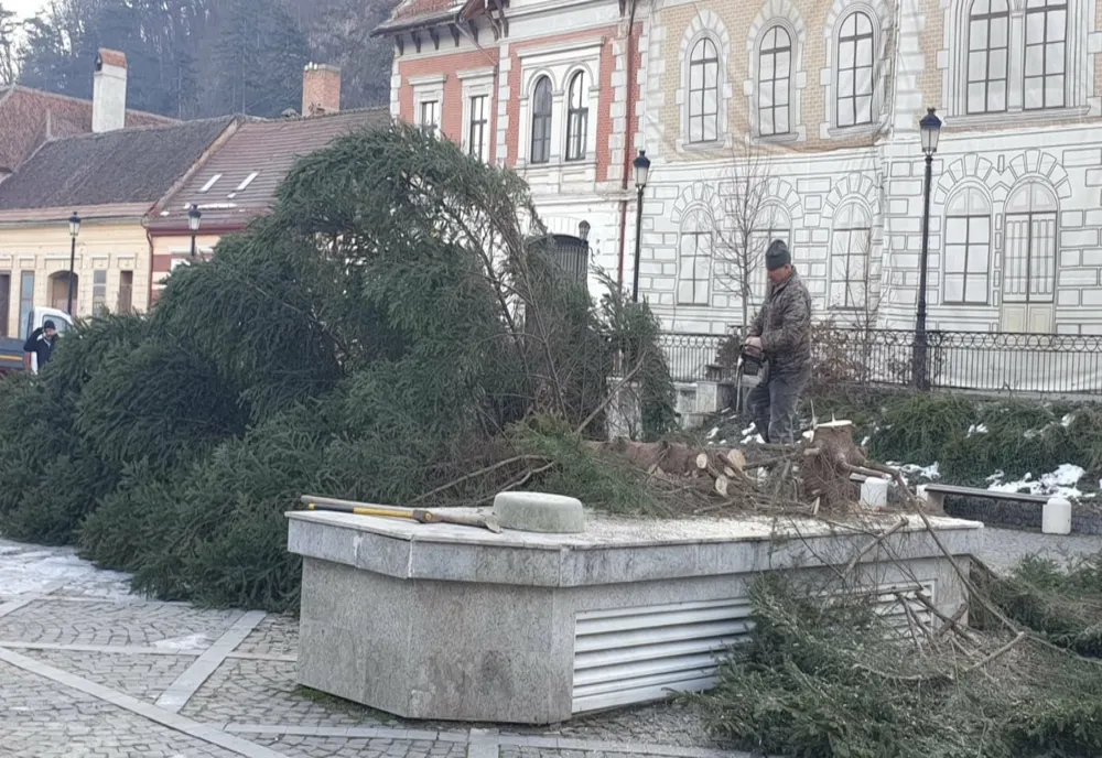 Unde va ajunge bradul de Crăciun din centrul orașului Râșnov?