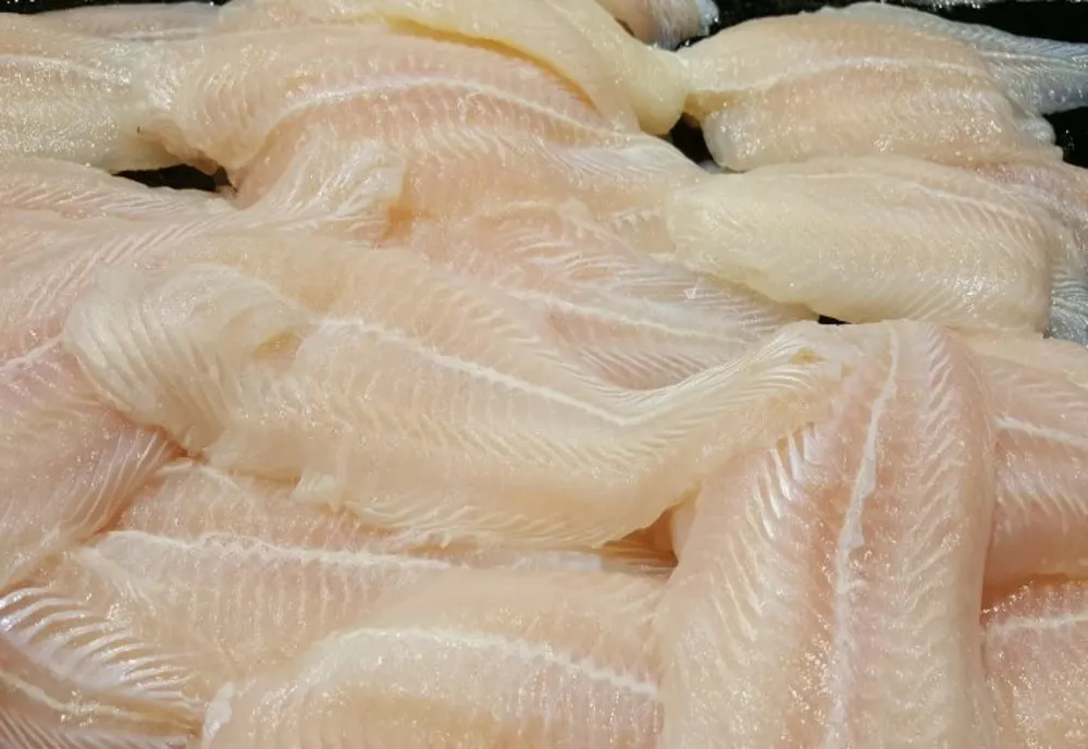 Control judiciar pentru trei sibieni care au furat 250 de kilograme de peşte