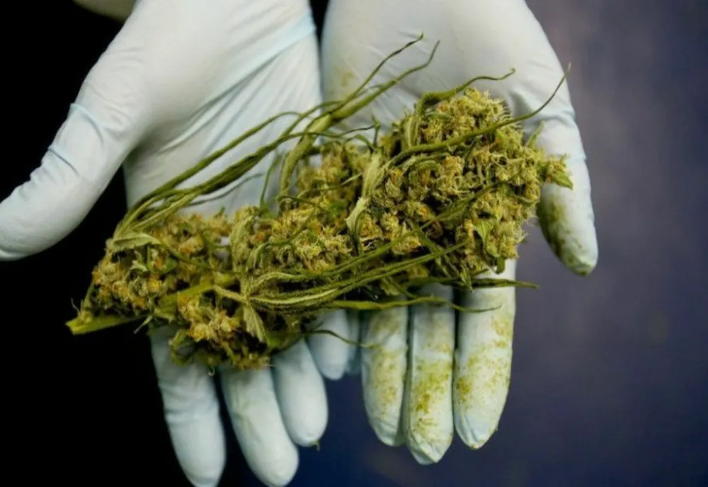 La Brașov, ca în Olanda: dulciuri și energizante cu cannabis, vândute de un magazin