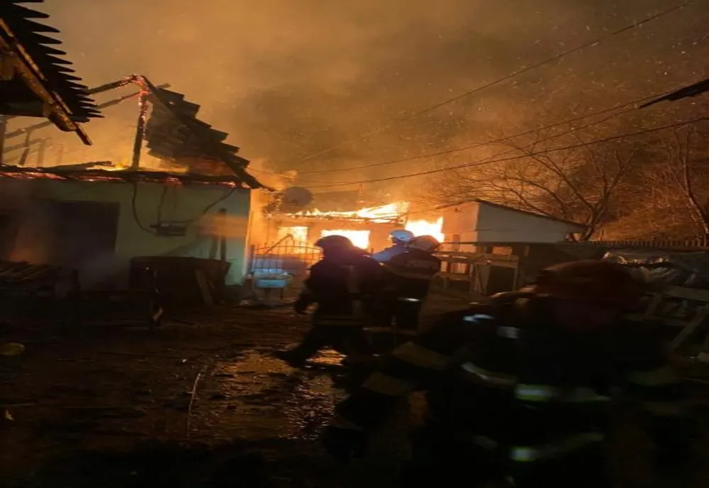 Incendiu, azi-noapte, la Râșnov! 6 animale au murit