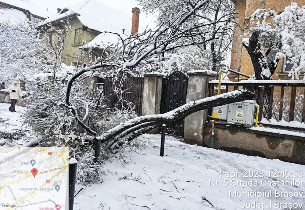 Brașovul sub cod portocaliu de ninsori – zeci de copaci prăbușiți, deszăpezire continuă în ultimele 36 de ore