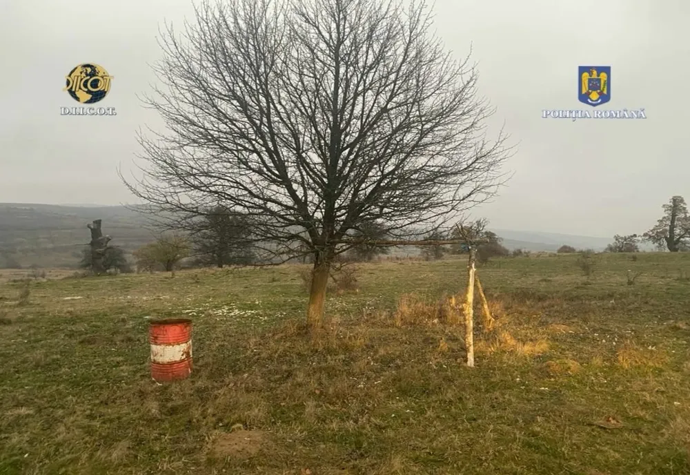 Minor forțat să lucreze la o stână din județul Brașov și să abandoneze școala! 5 percheziții au loc în județul Brașov, într-un dosar de trafic de minori