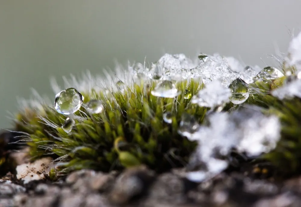 Cum va fi vremea în următoarele două săptămâni. ANM anunță temperaturi de primăvară, apoi răcire bruscă în aceste zone