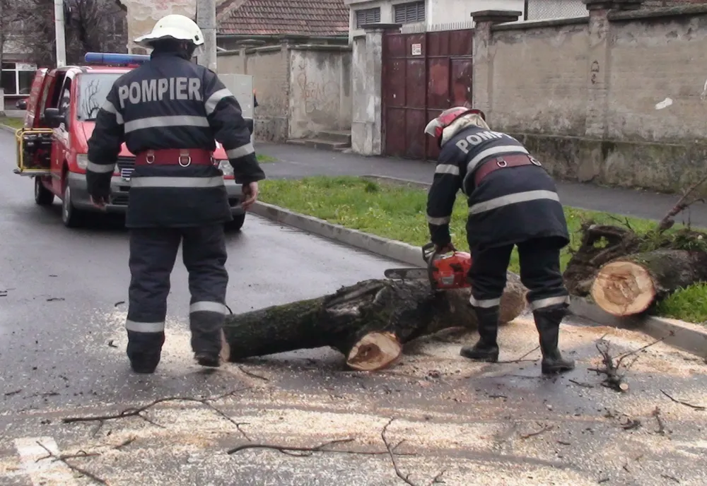 Vântul puternic a creat probleme în Brașov și Harghita