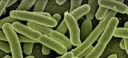 Apă contaminată cu E-Coli în Covasna