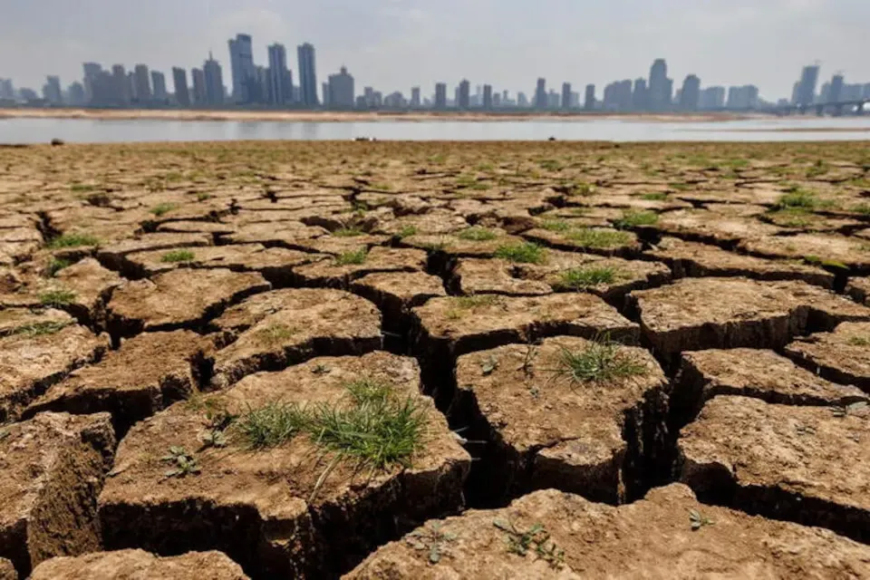 Criză alimentară la orizont. Cum ne va afecta „Super El Niño” în următorii ani
