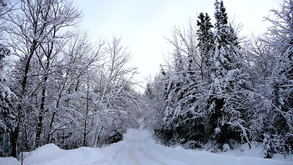 Ședință de urgență pentru eliminarea pericolelor din Poiana Brașov