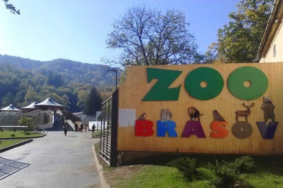 Eveniment INEDIT, astăzi, la ZOO Brașov