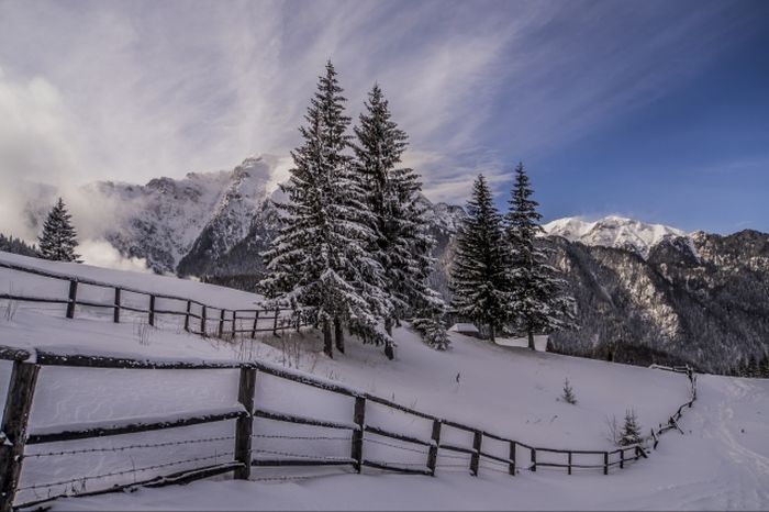 VIDEO Documentarul Wild Carpathia poate fi urmărit, diseară, gratuit, în Piața Sfatului