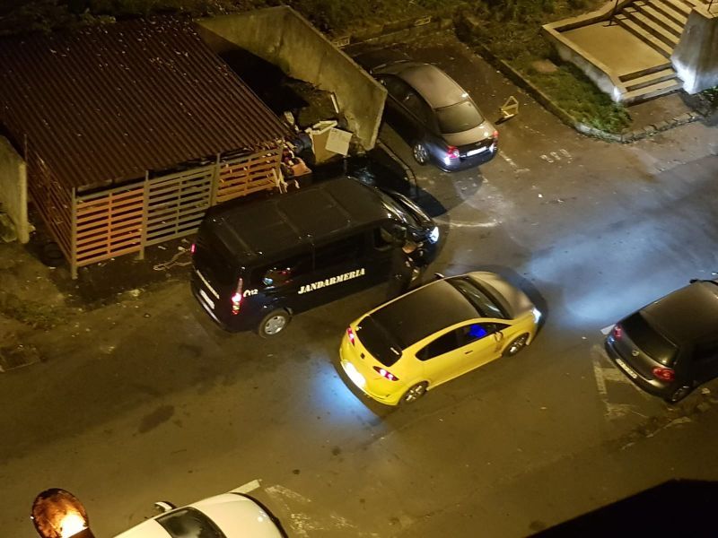 VIDEO+FOTO Autoritățile, în alertă! Urși printre mașini, în Răcădău, azi-noapte!