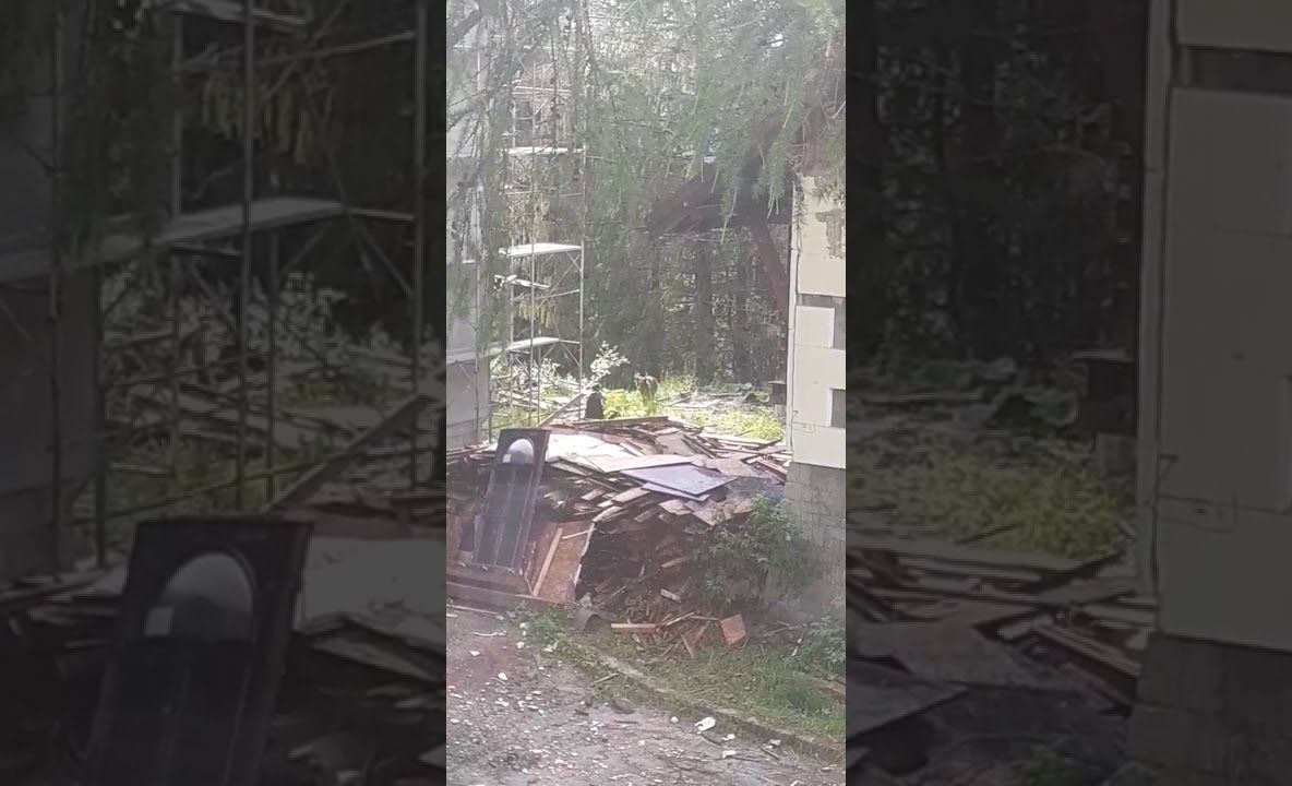 VIDEO Urs împuşcat, la Predeal!
