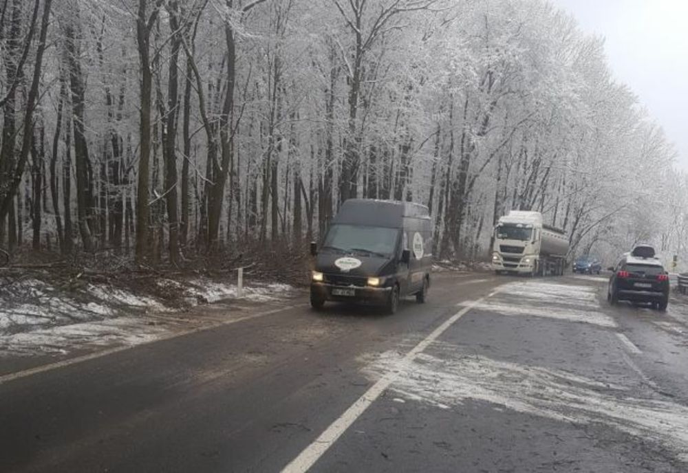 Atenție, șoferi! Se taie copacii care pun în pericol traficul de pe DN1