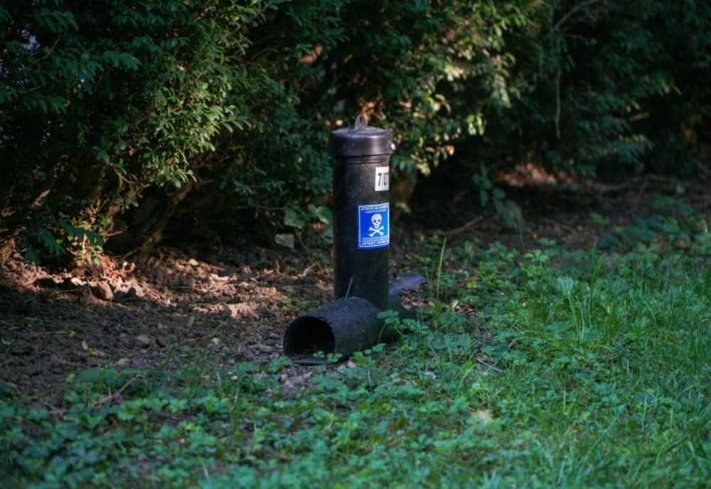 A început cea de-a doua etapă de deratizare a domeniului public