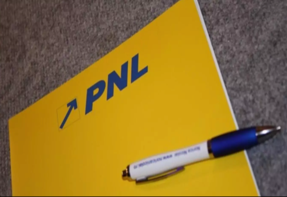 Ce mandat au liberalii pentru ieșirea din criza politică - Variantele de premier în viitorul guvern