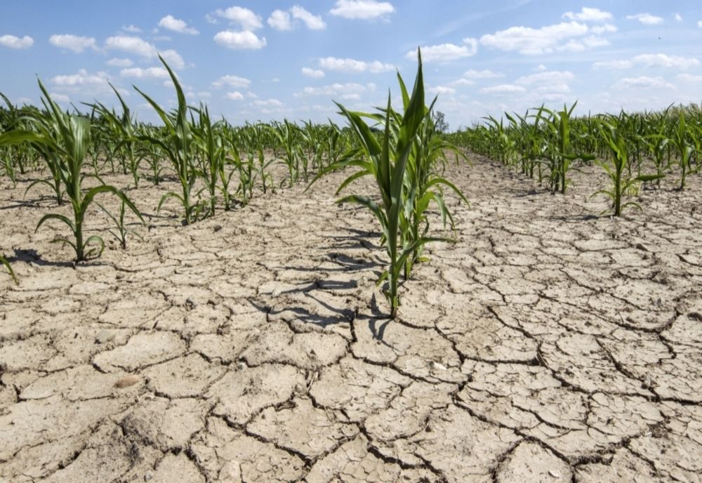 Secetă extremă în mai multe județe, în următoarea săptămână. Avertismentul meteorologilor