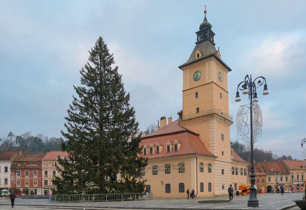 BRAȘOVUL ARE CEL MAI ÎNALT BRAD DE CRĂCIUN DIN ROMÂNIA