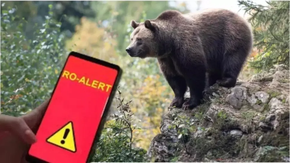 FOTO: Arhivă