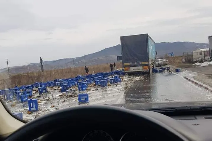 camion bere