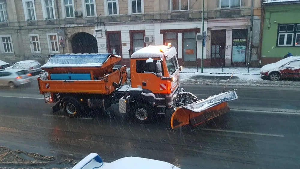 deszapezire
