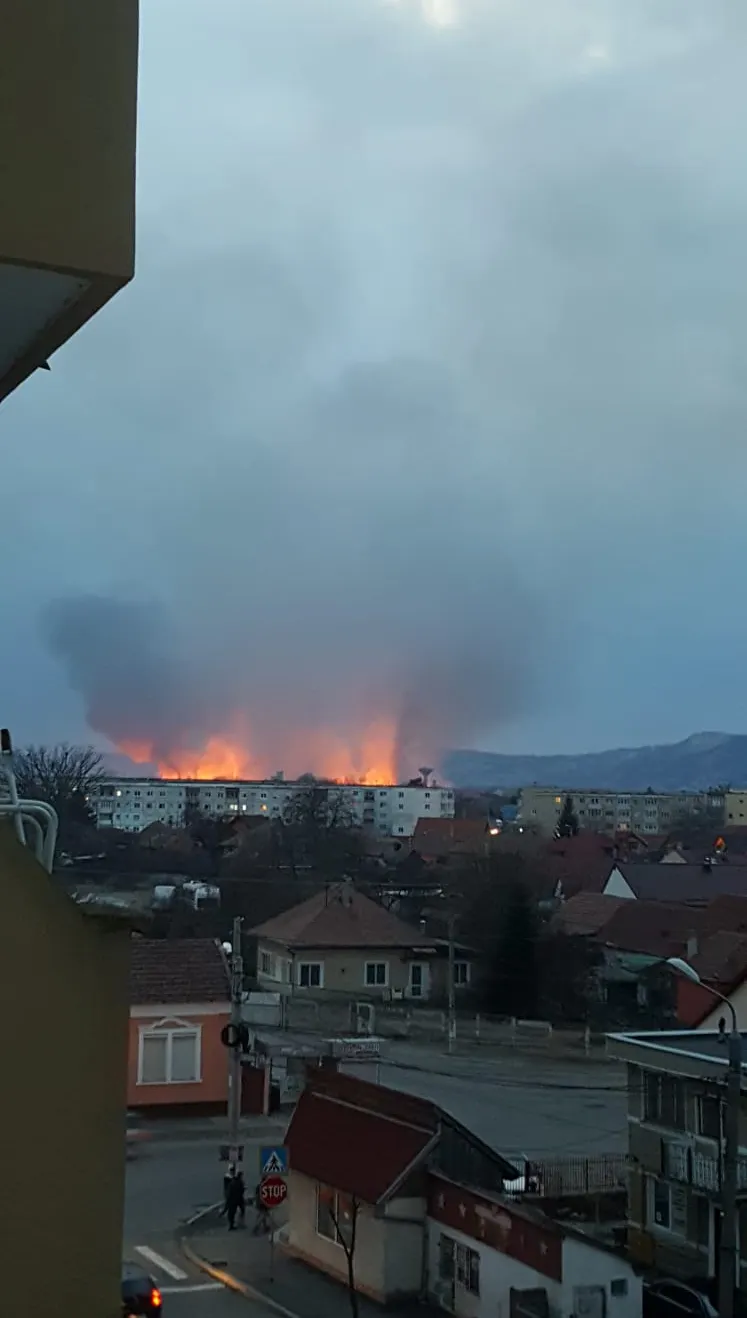 IMG-20190315-WA0008