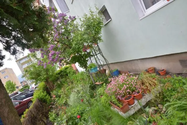 gradina (3)