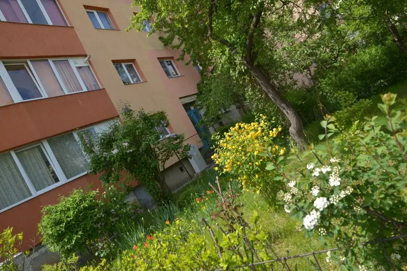 gradina (4)
