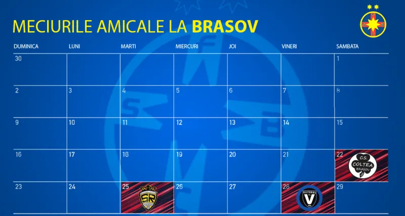 fcsb poza