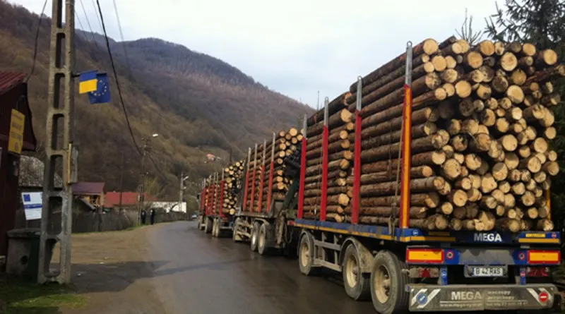 tir-lemn-800x445
