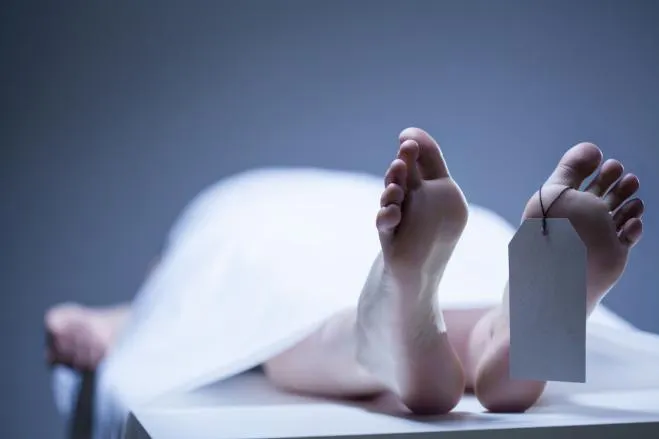 cadavru